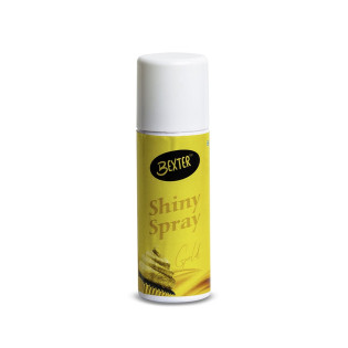 Shiny Spray 100ml Can
